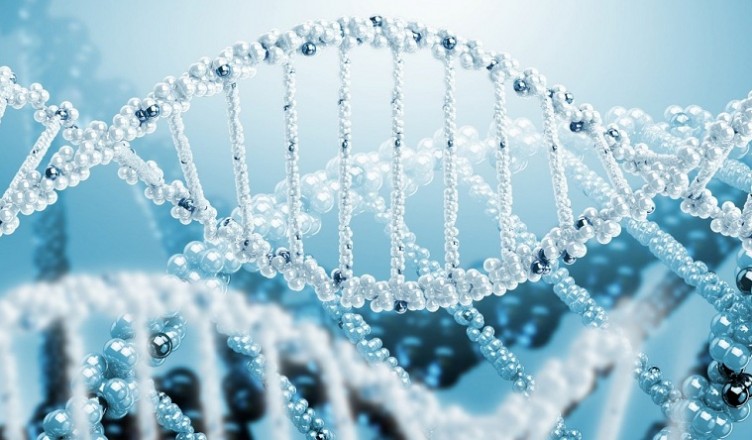 ژنتیک انسانی و ژنتیک پزشکی - رتبه برترهاژنتیک انسانی و ژنتیک پزشکی - رتبه برترها