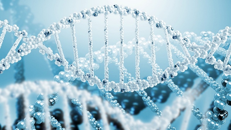 ژنتیک انسانی و ژنتیک پزشکی - رتبه برترهاژنتیک انسانی و ژنتیک پزشکی - رتبه برترها